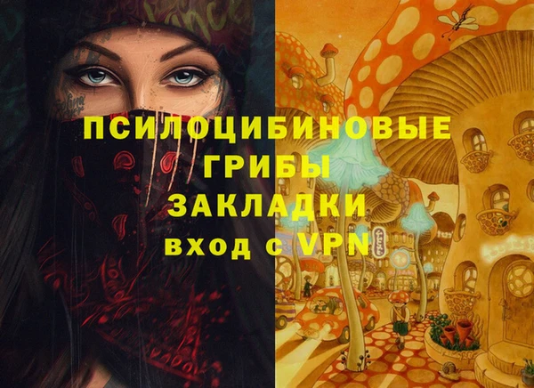 бошки Абаза