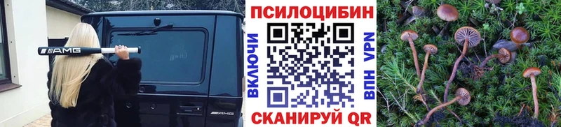 Псилоцибиновые грибы мухоморы  Сальск 